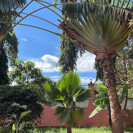Bungalow X Garten & Terrasse X Wlan X Europaeisch Моши Экстерьер фото