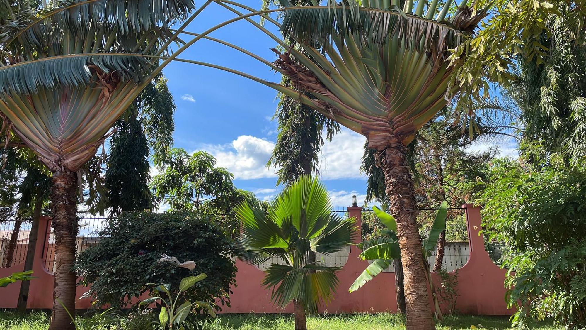 Bungalow X Garten & Terrasse X Wlan X Europaeisch Моши Экстерьер фото